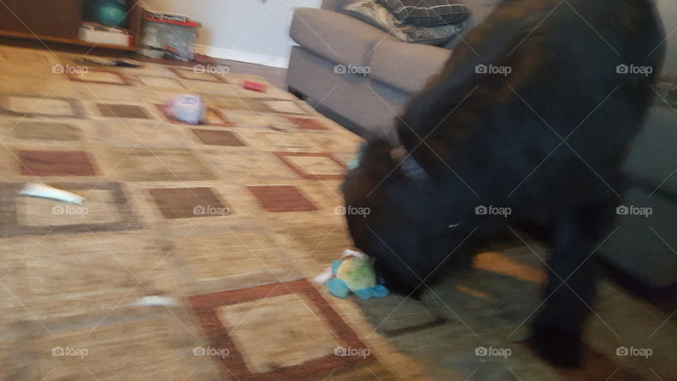 People, Mammal, No Person, Blur, One