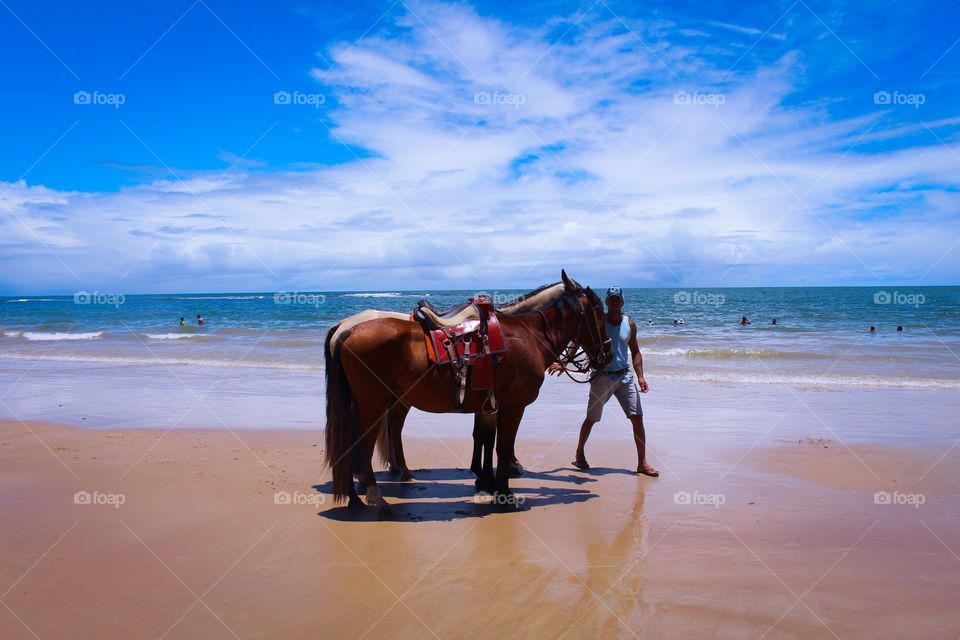 A man and his two horses on the paradise beach in Brazil