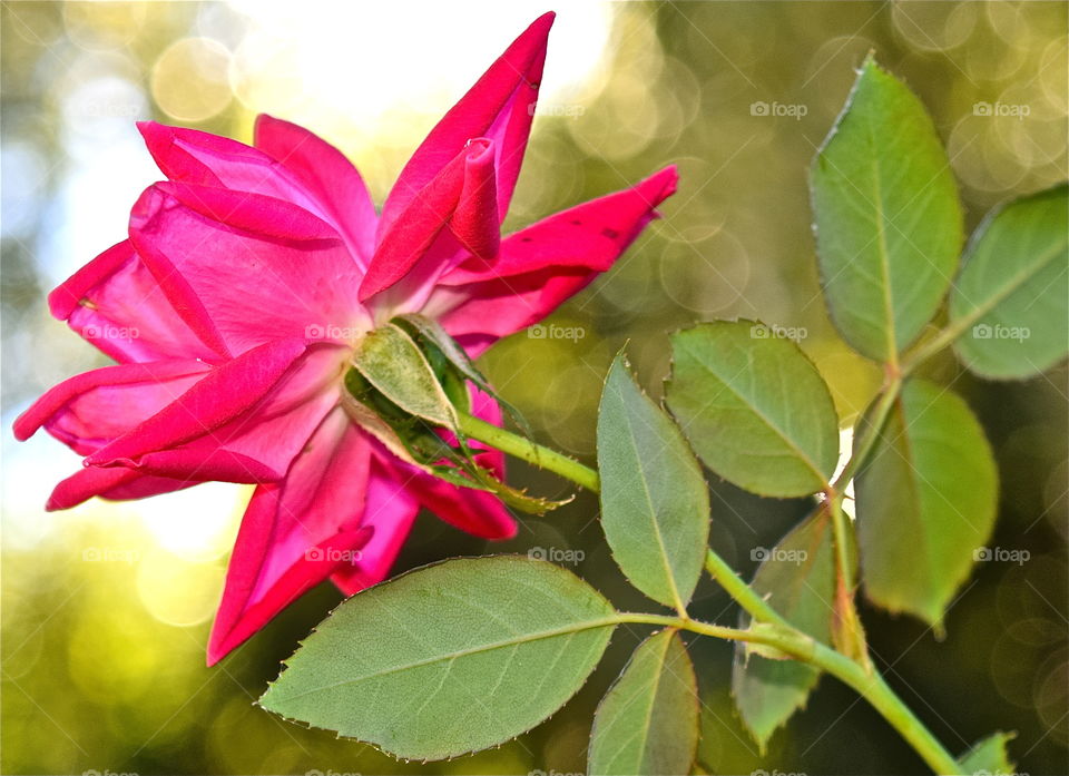 Beautiful from every angle