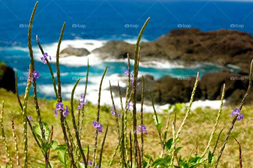 View of sea with rocks