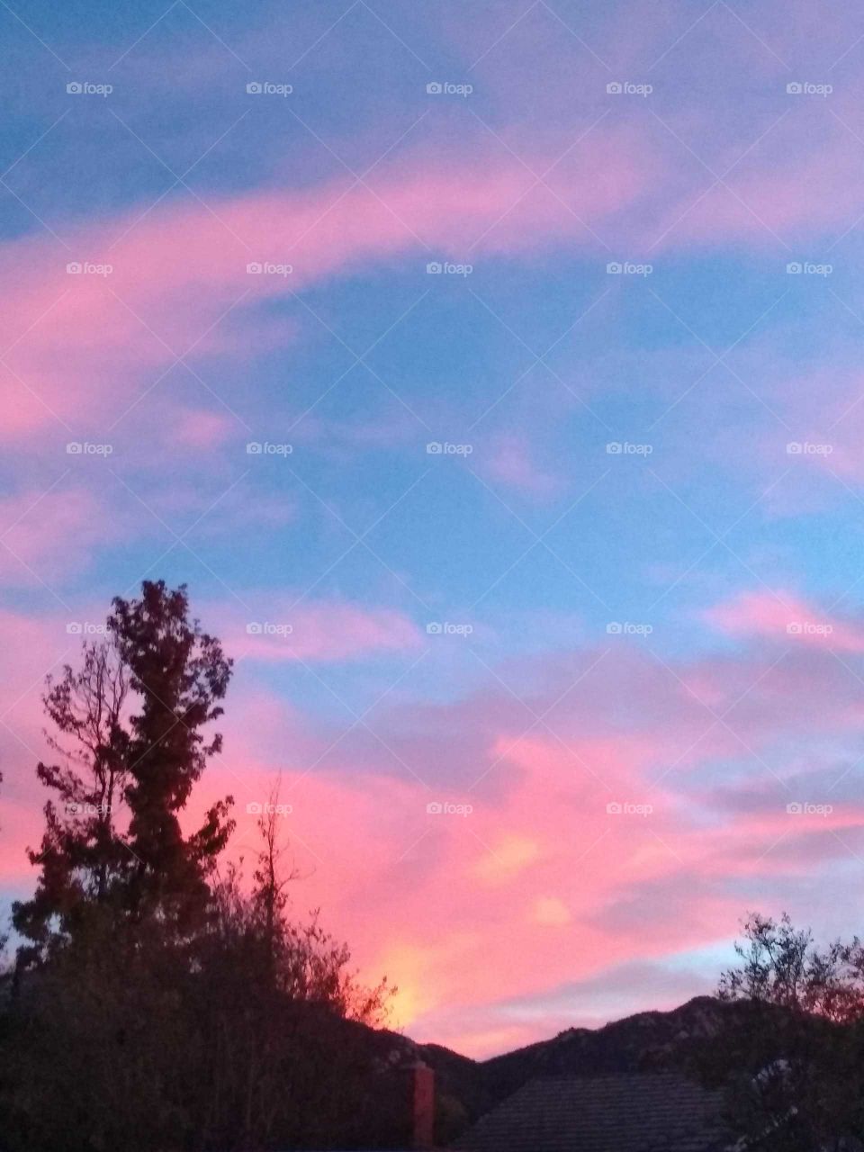 A beautiful California cotton candy evening sky.