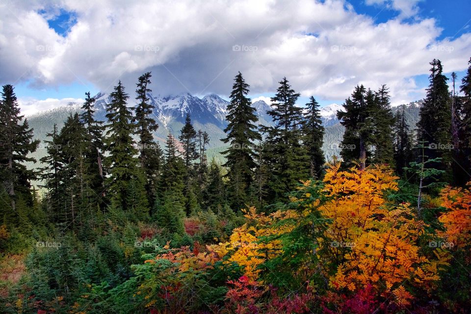 Cascade mountains in the Fall