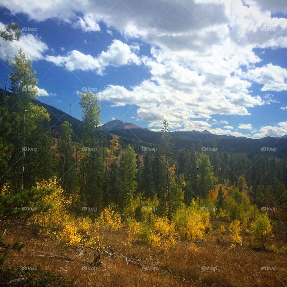 Colorado fall landscape