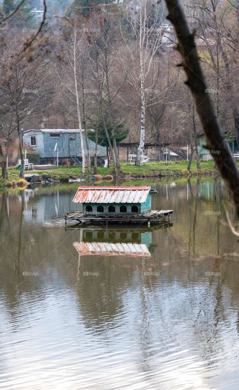 Duck house on the lake