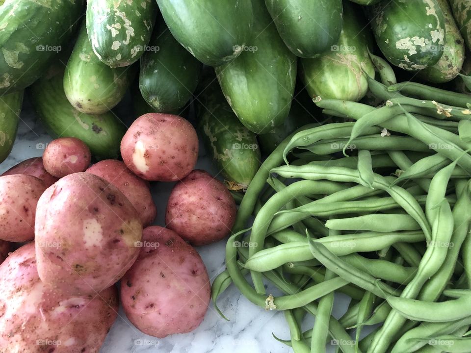 Fresh Garden Vegetables 