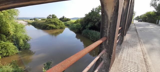pontes