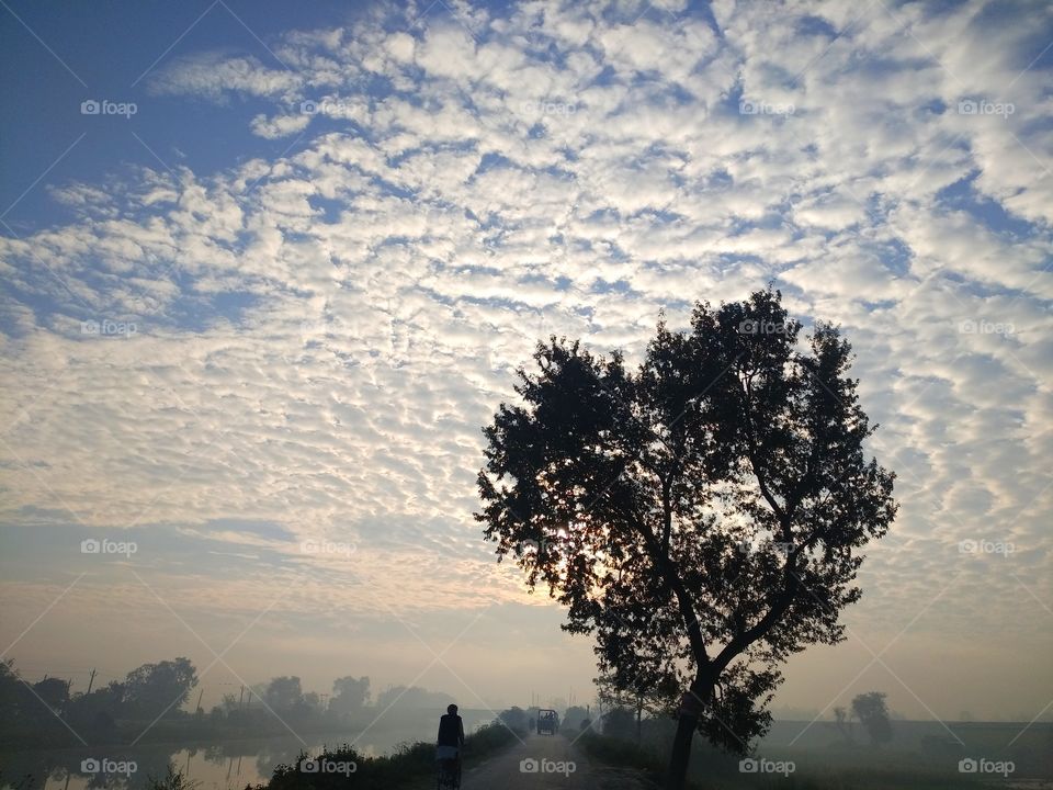 Sunrise in the morning