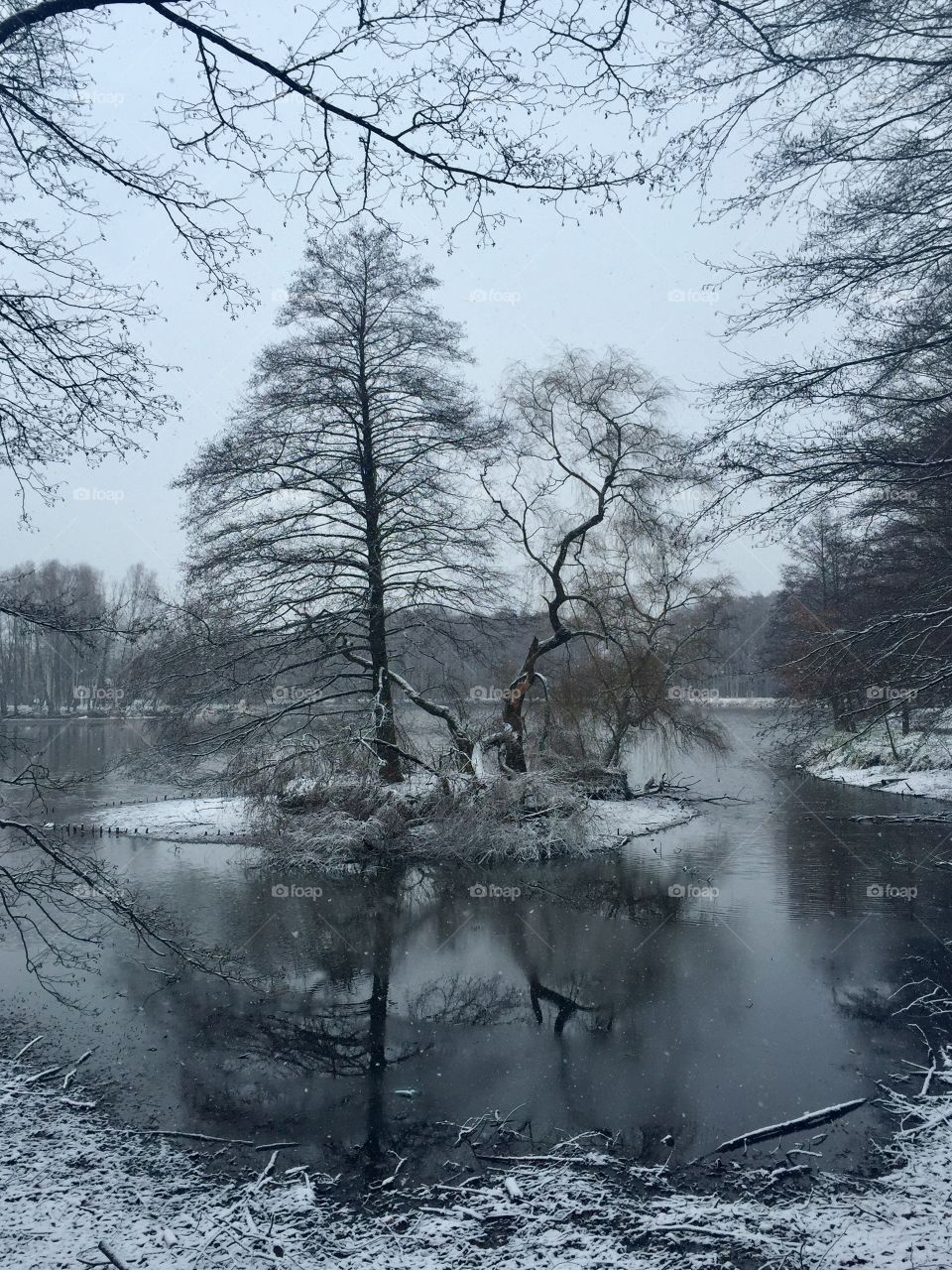 Snowy morning by the lake 