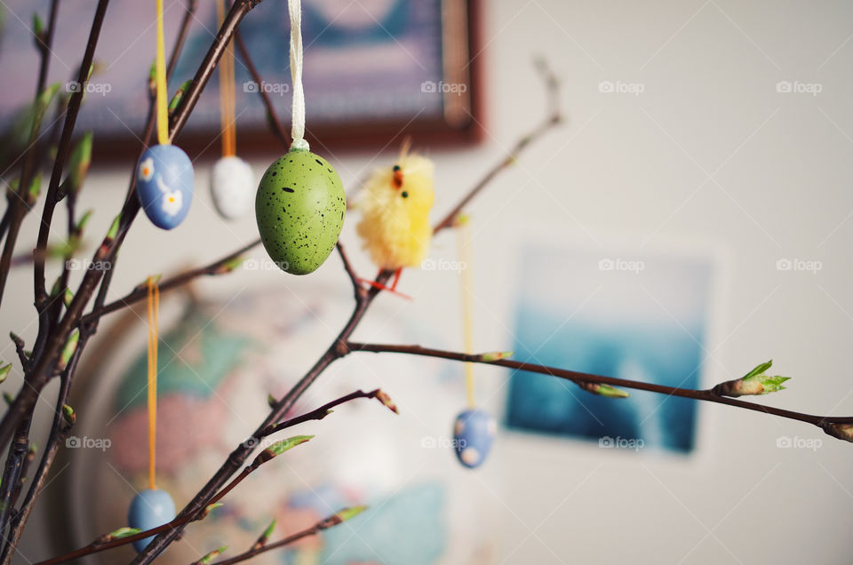 Colourful tiny easter eggs hanging on ament branches.