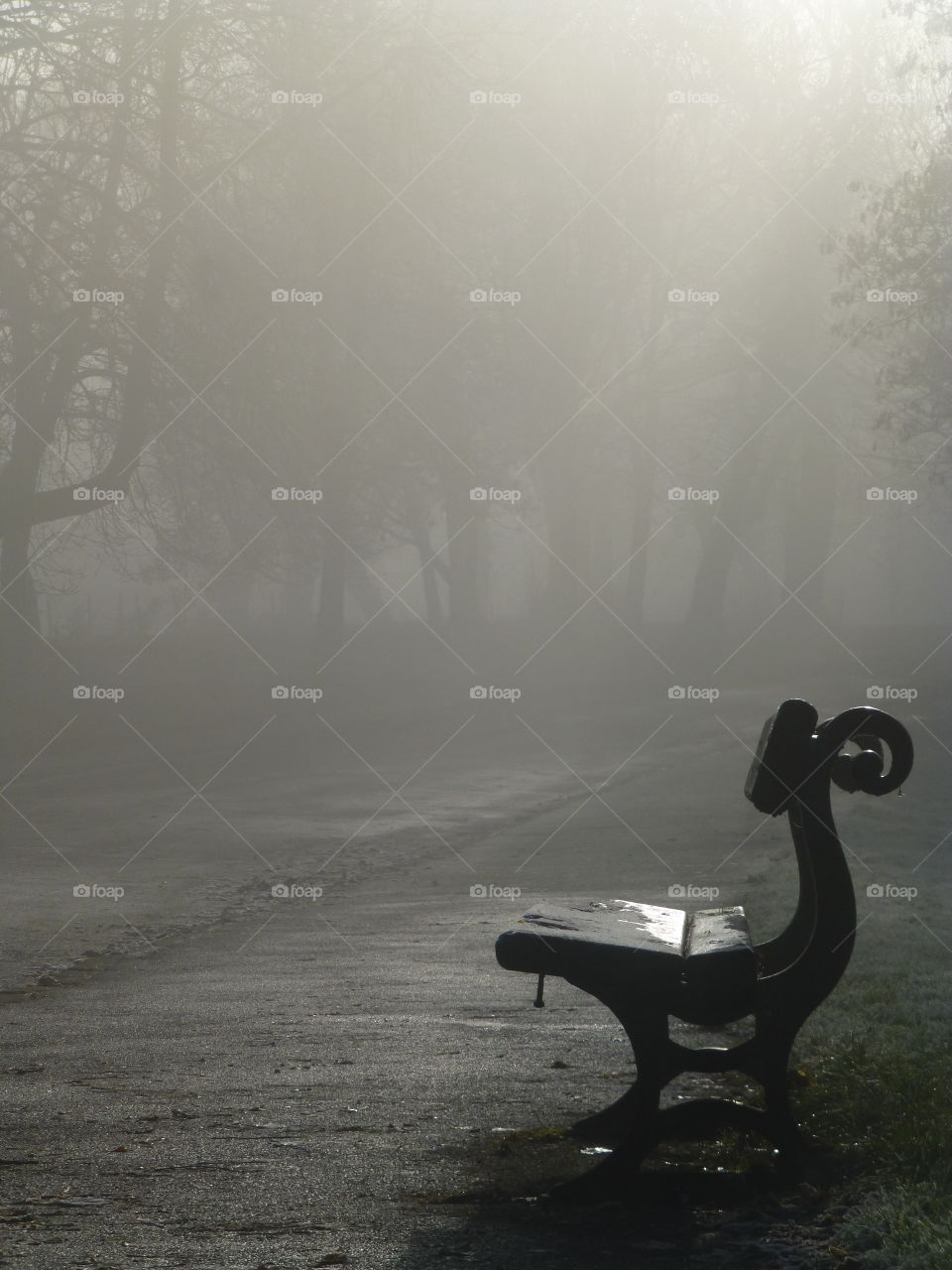 A Park Bench On A Foggy Morning 