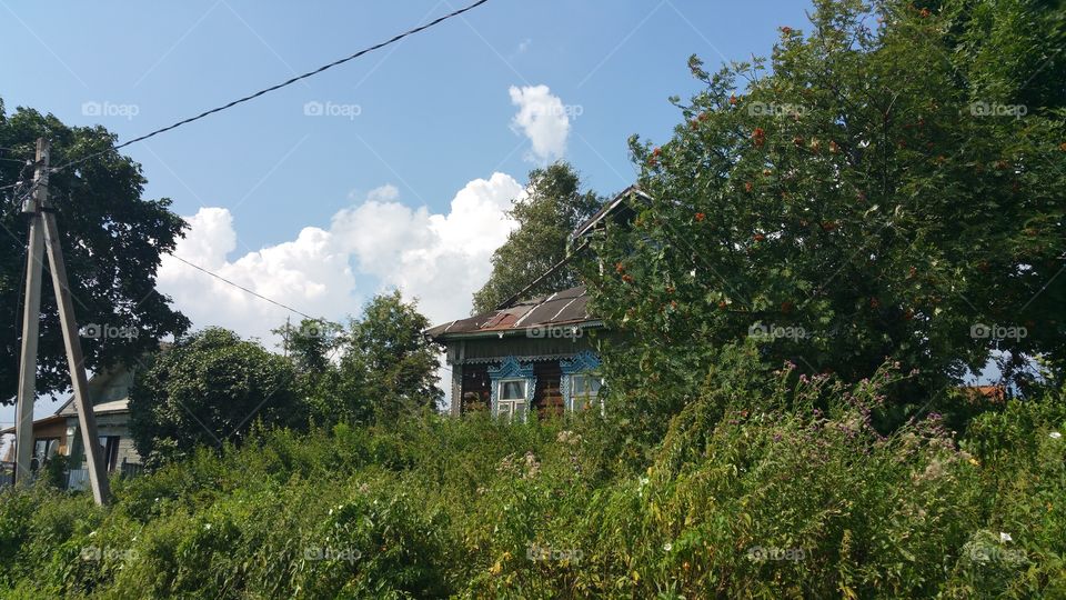 Russia, village, summer