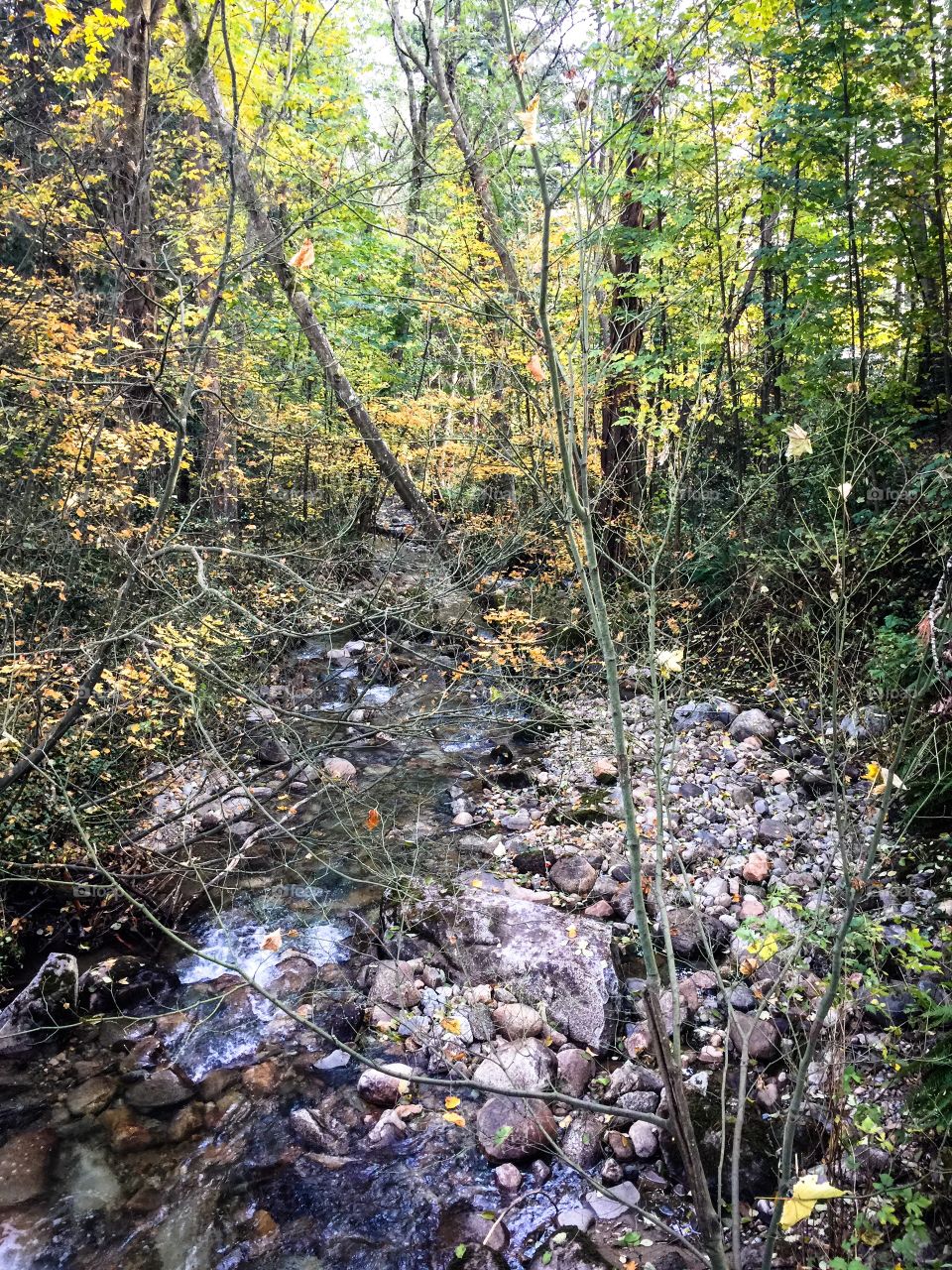 Running creek in the neighbourhood on a dry autumn day in Vancouver, British Columbia 