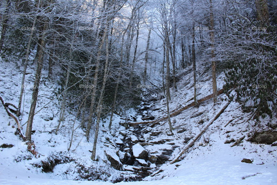 Frozen stream