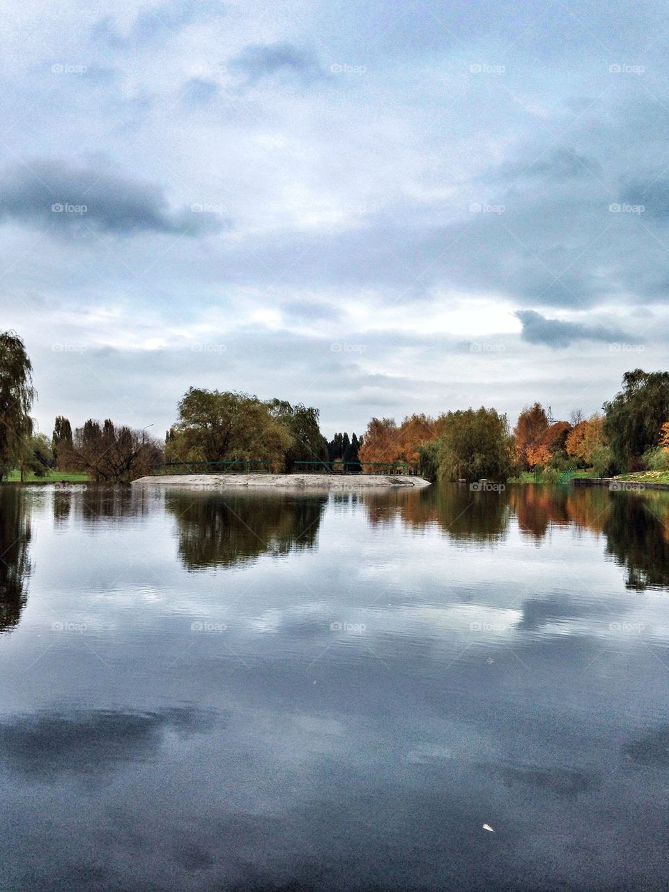 Trees reflecting on lake