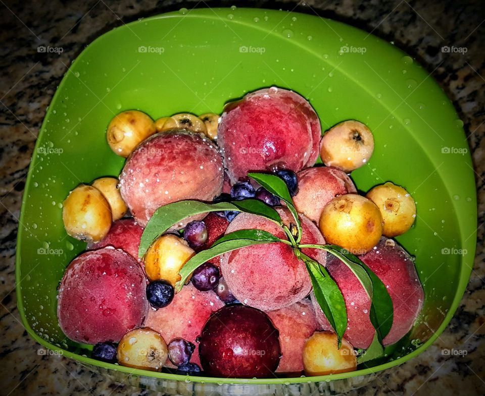 Fresh picked fruit