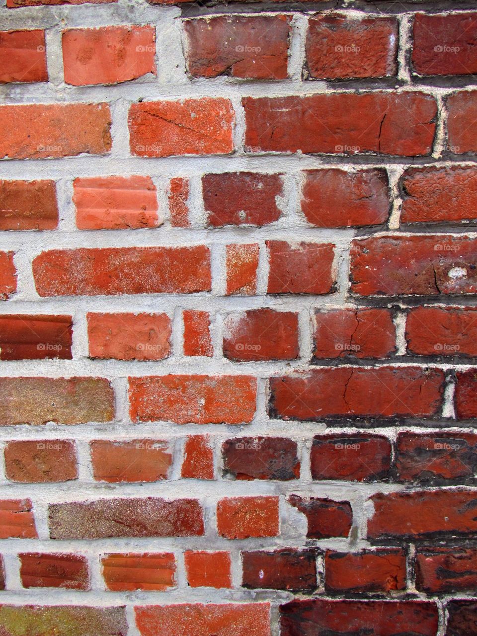 wall