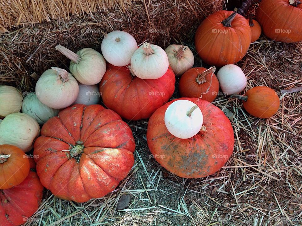 Pumpkins