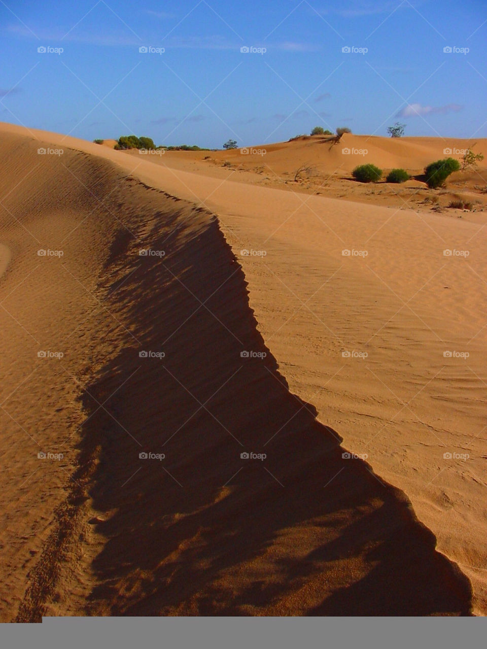 red sand dunes ridge by kshapley