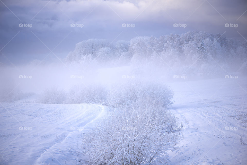 Winter wonderland in Krimulda, Latvia