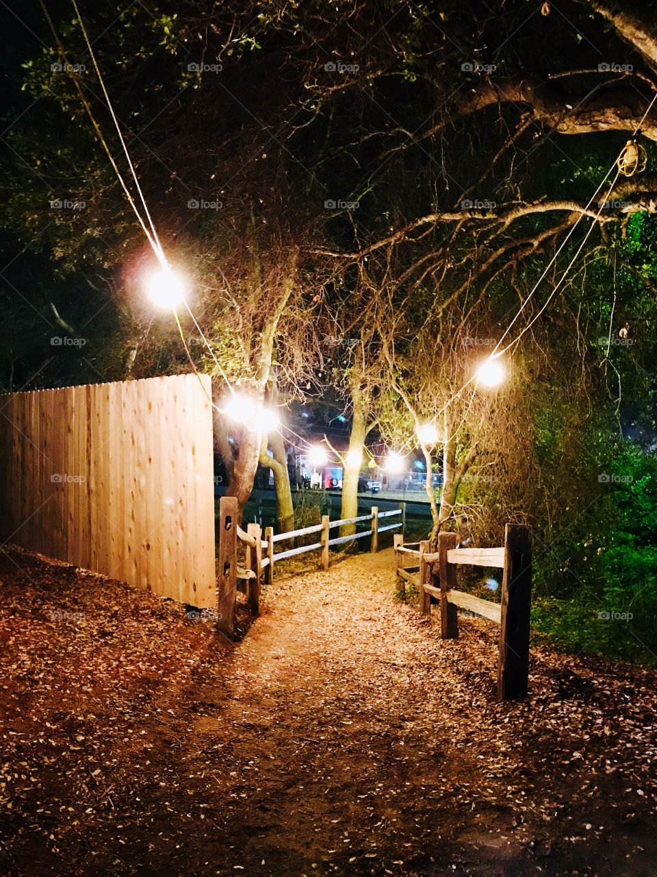 A night full of light 