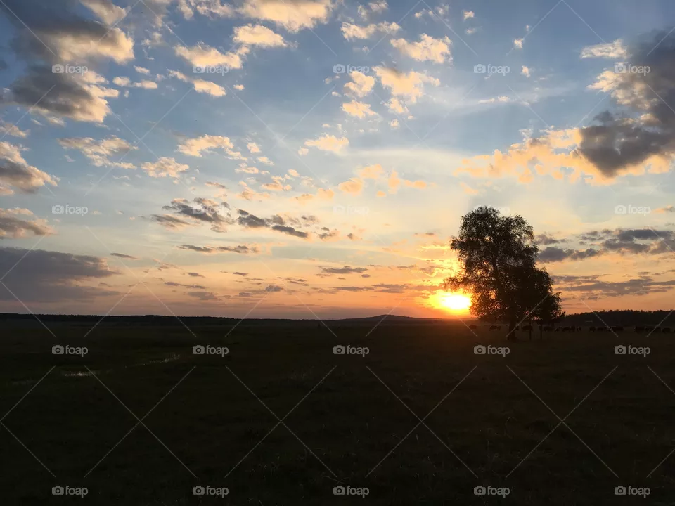 Sky 