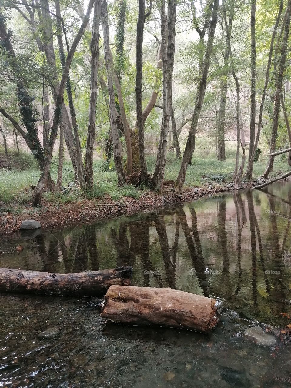 A beautiful spot at Paphos forest
