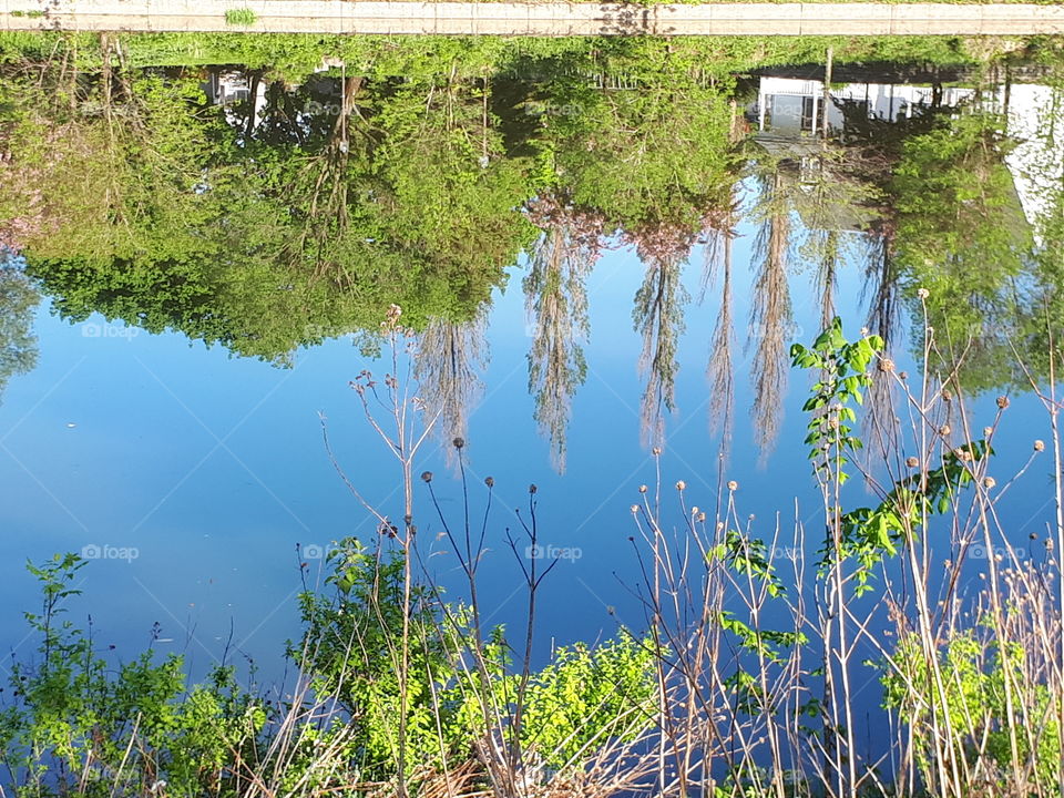 the sky in the river!🏞🌎