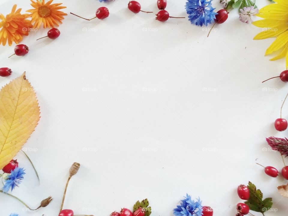 colourful background