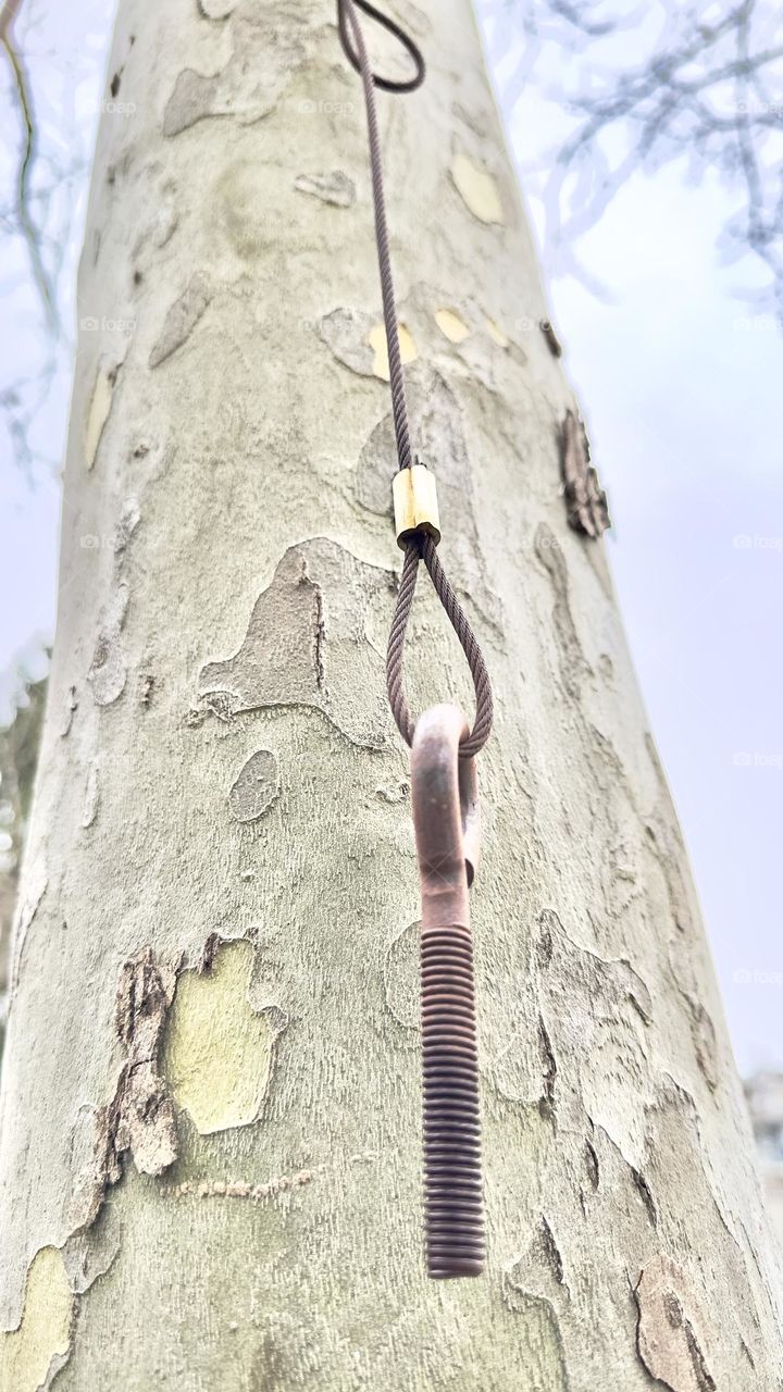 Metal screw hanging on branch tree.