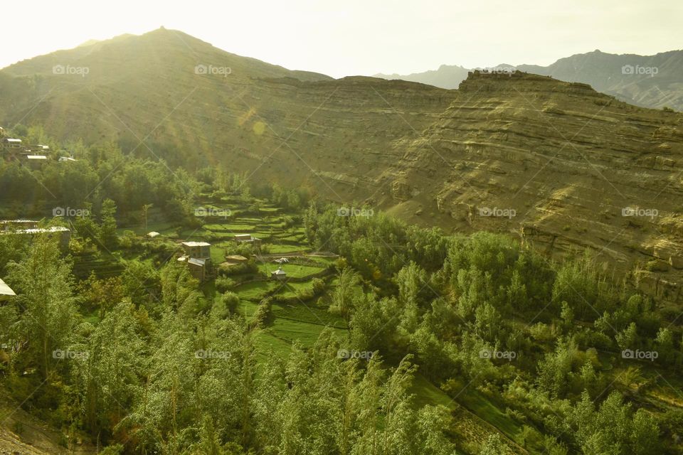 rural villagers make the valley with beautiful  art of agriculture