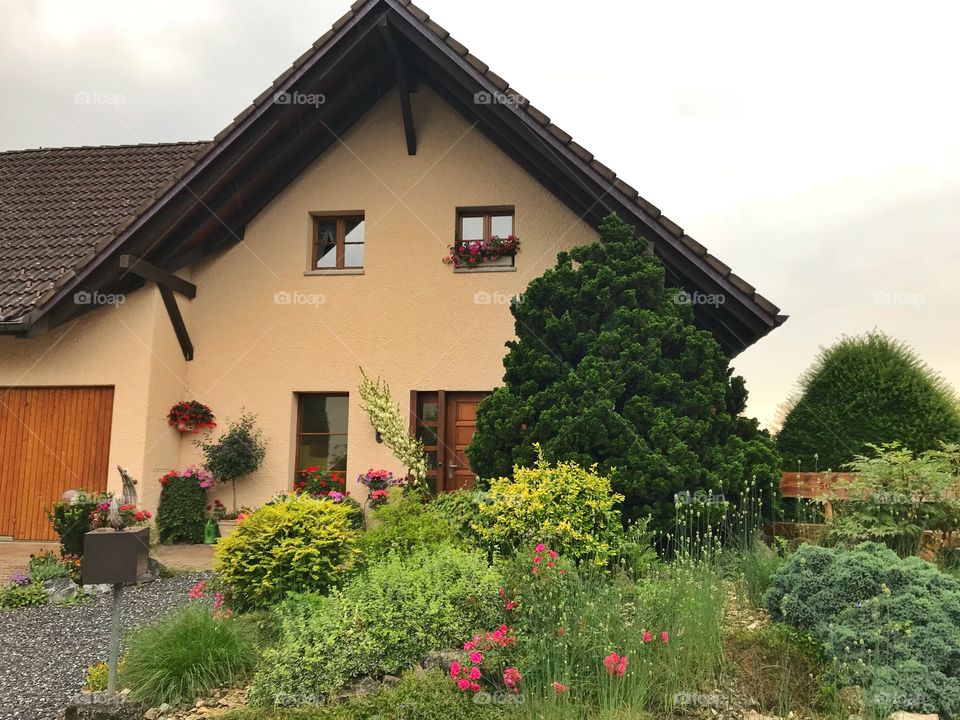 Plants and trees in front of a house in Switzerland 