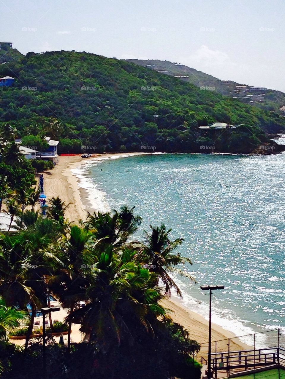 Scenic view of nature