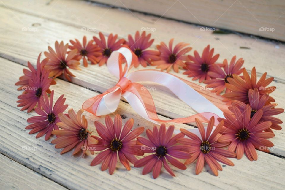 Flower Crown - Orange Daisy