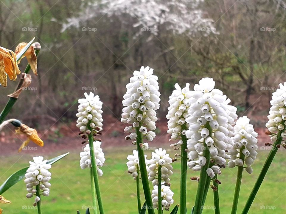 working with plants on the balcony - Earth Day