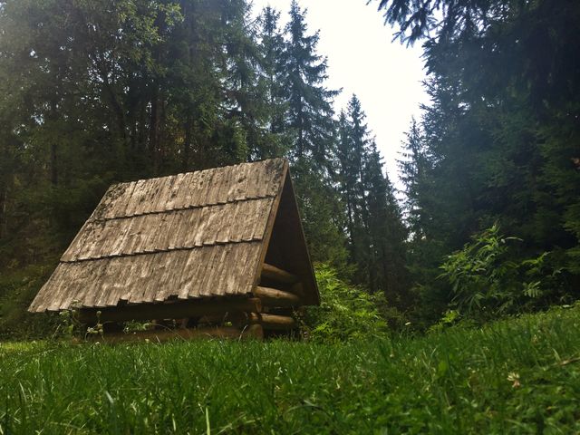 Cabin in wild
