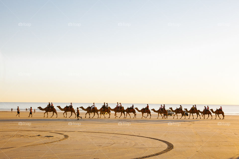 Sunset camel rides along Cable Beach, Broome Western Australia 