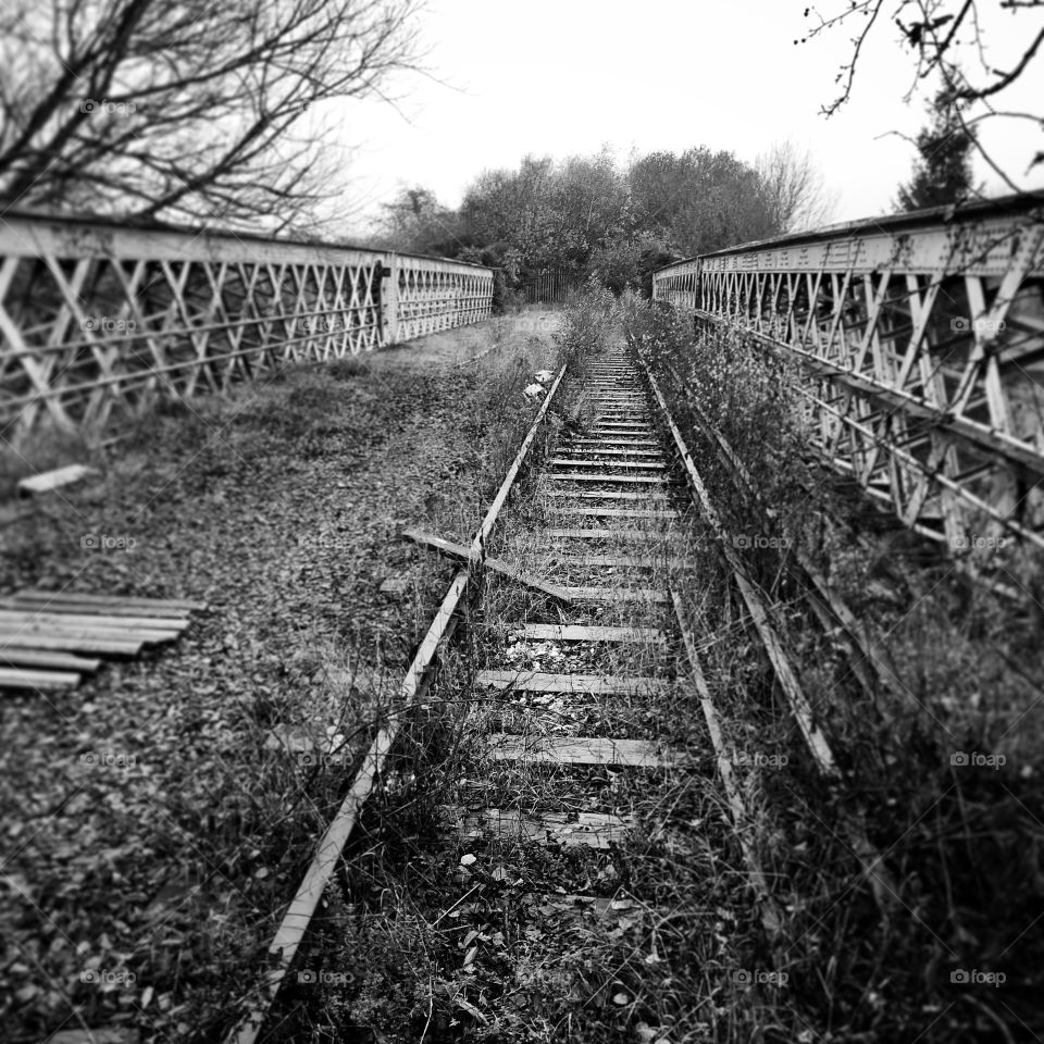 Abandoned trainline on a winter walk. 