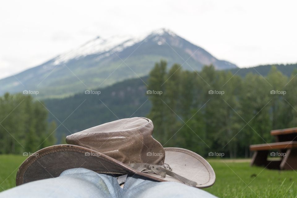 Canada's Rocky Mountains a breathtaking view from a remote alpine meadow, 