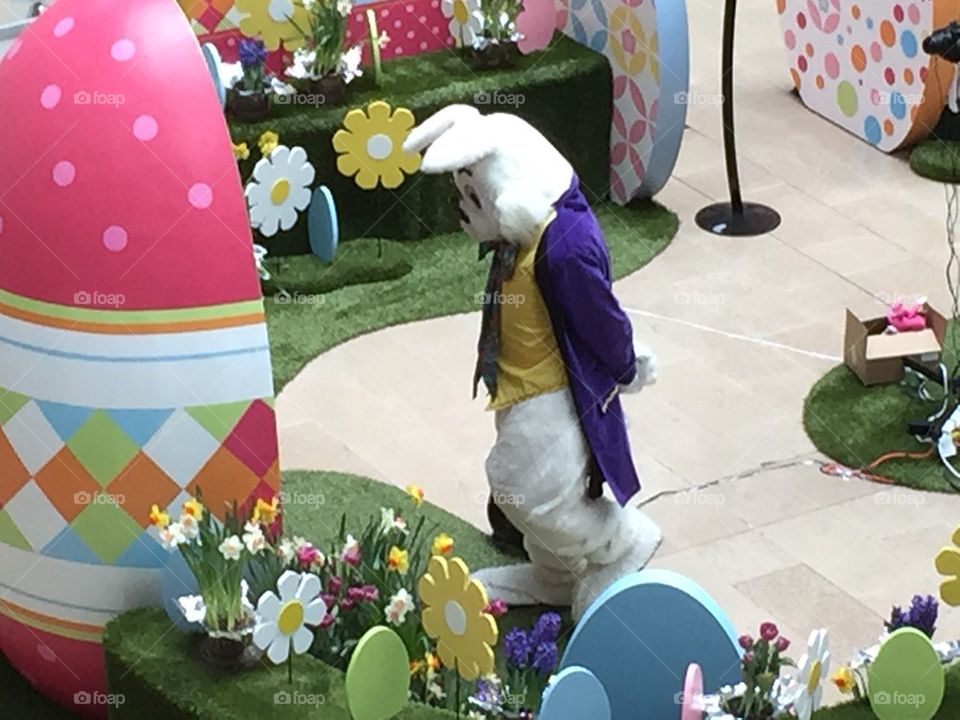 Easter Bunny 