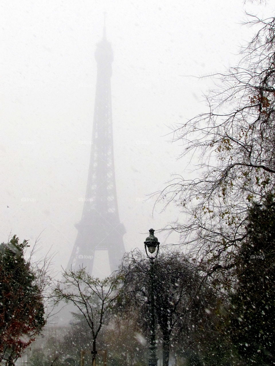Eiffel tower and trees in Paris under the snow