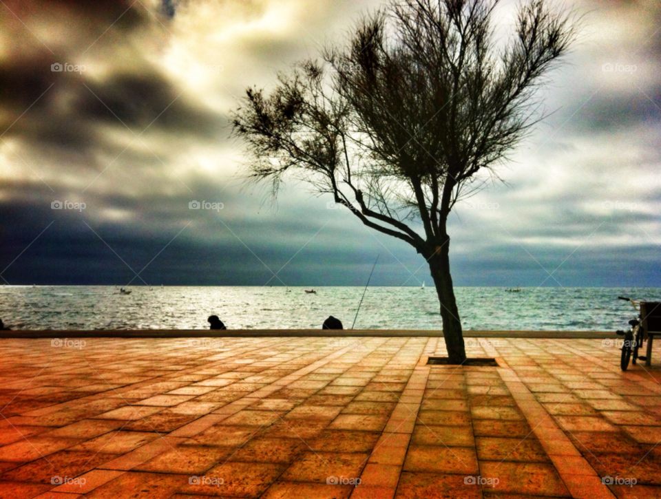 ocean sky tree clouds by pitufo100