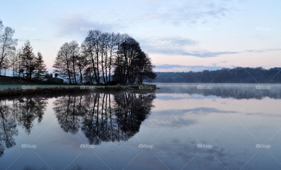 Landscape, Tree, Reflection, Lake, Water