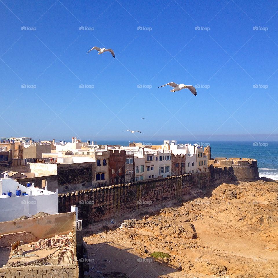 A view of essaouira fort