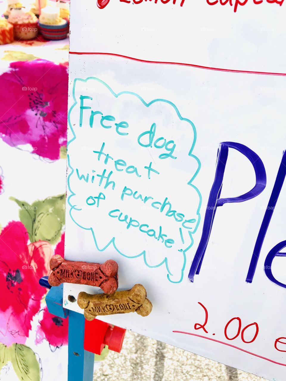 Fun doggy treat offered to people buying a cupcake, which is a fun hobby to have for anyone! 