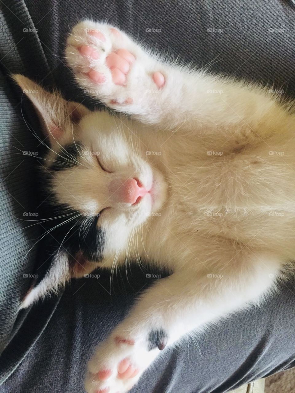 Cutie little sleepyhead 💕