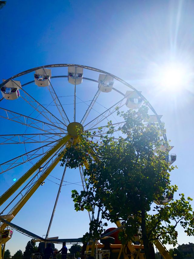 Ferris Wheel 