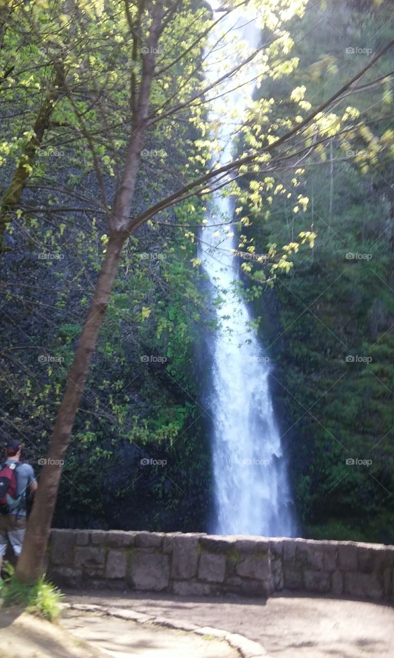 Multnomah Fall's