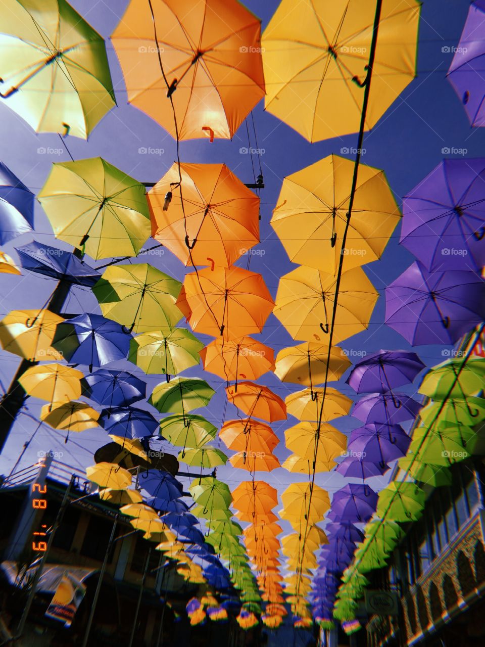 Umbrella Festival