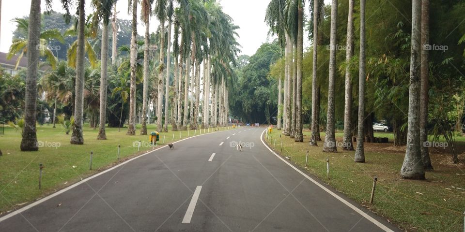 the road to the state palace