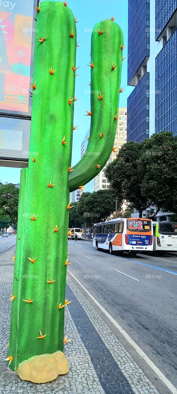 Cactos na Presidente Vargas